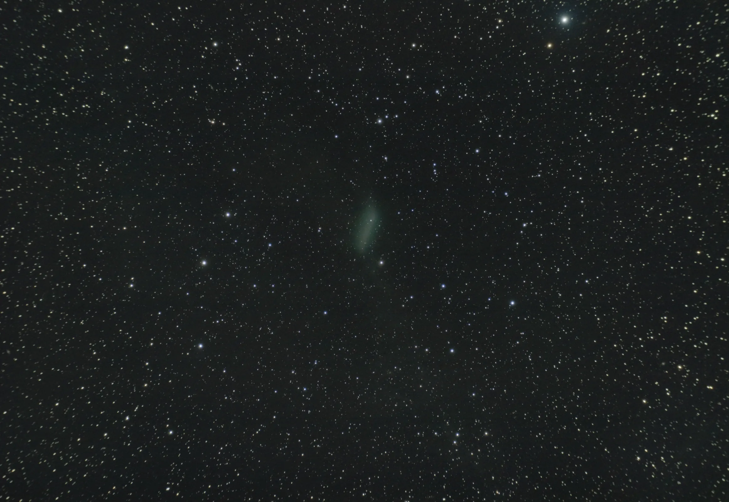 Comet C2019 Y4