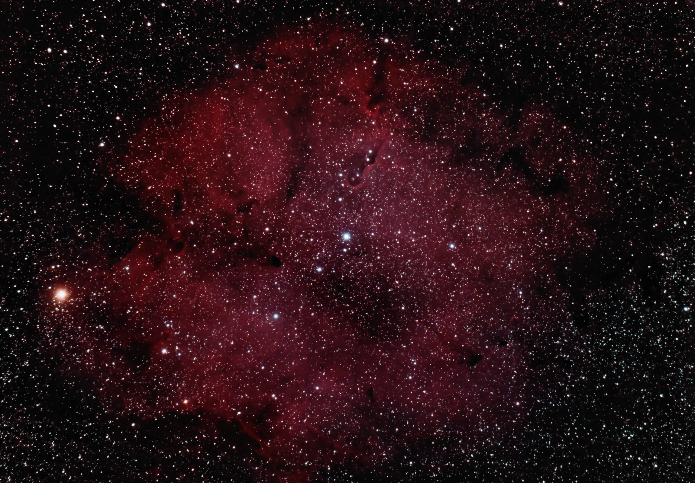 Elephant's Trunk Nebula