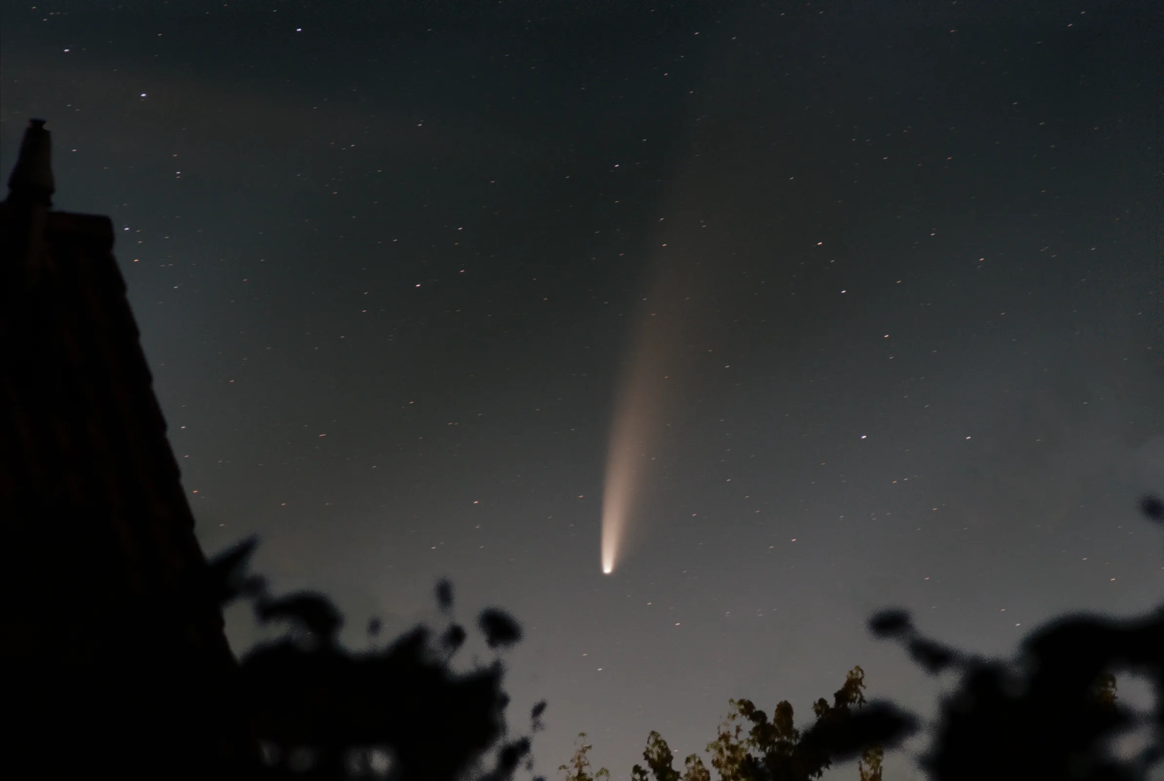 Comet C/2020 F3 (NEOWISE)