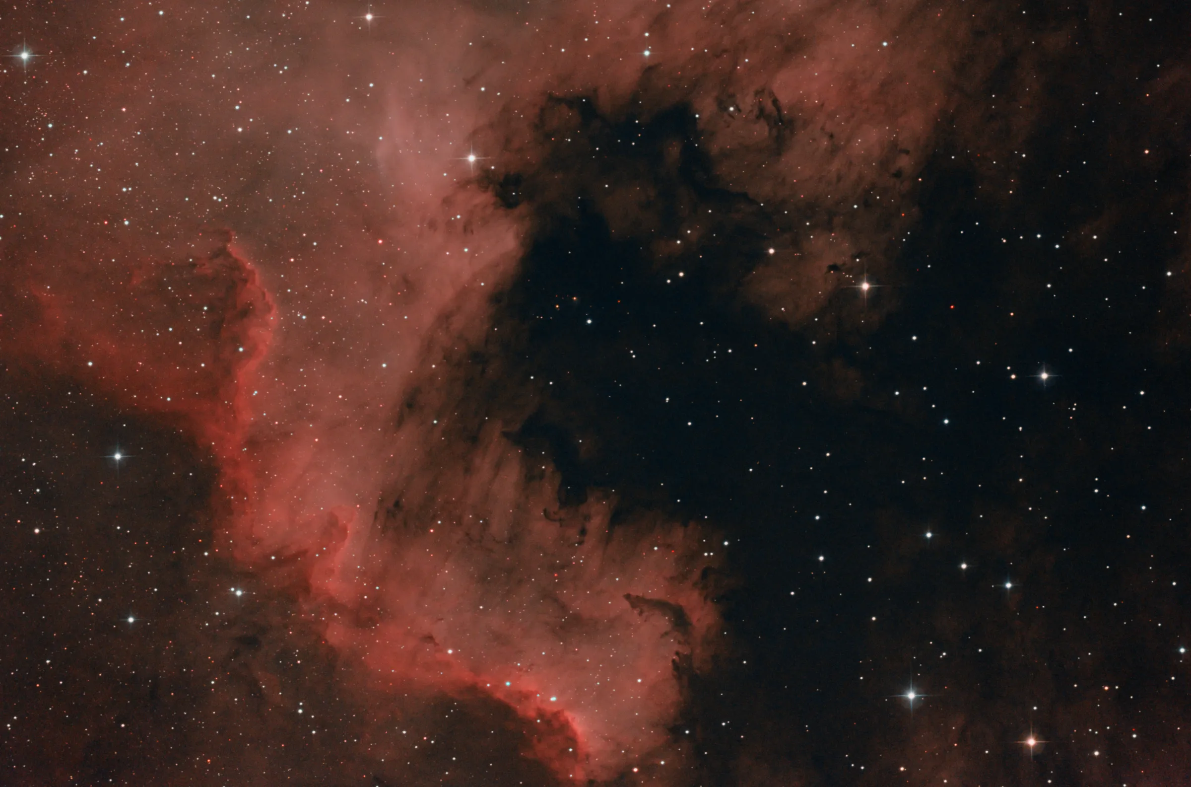 The Sygnus Wall