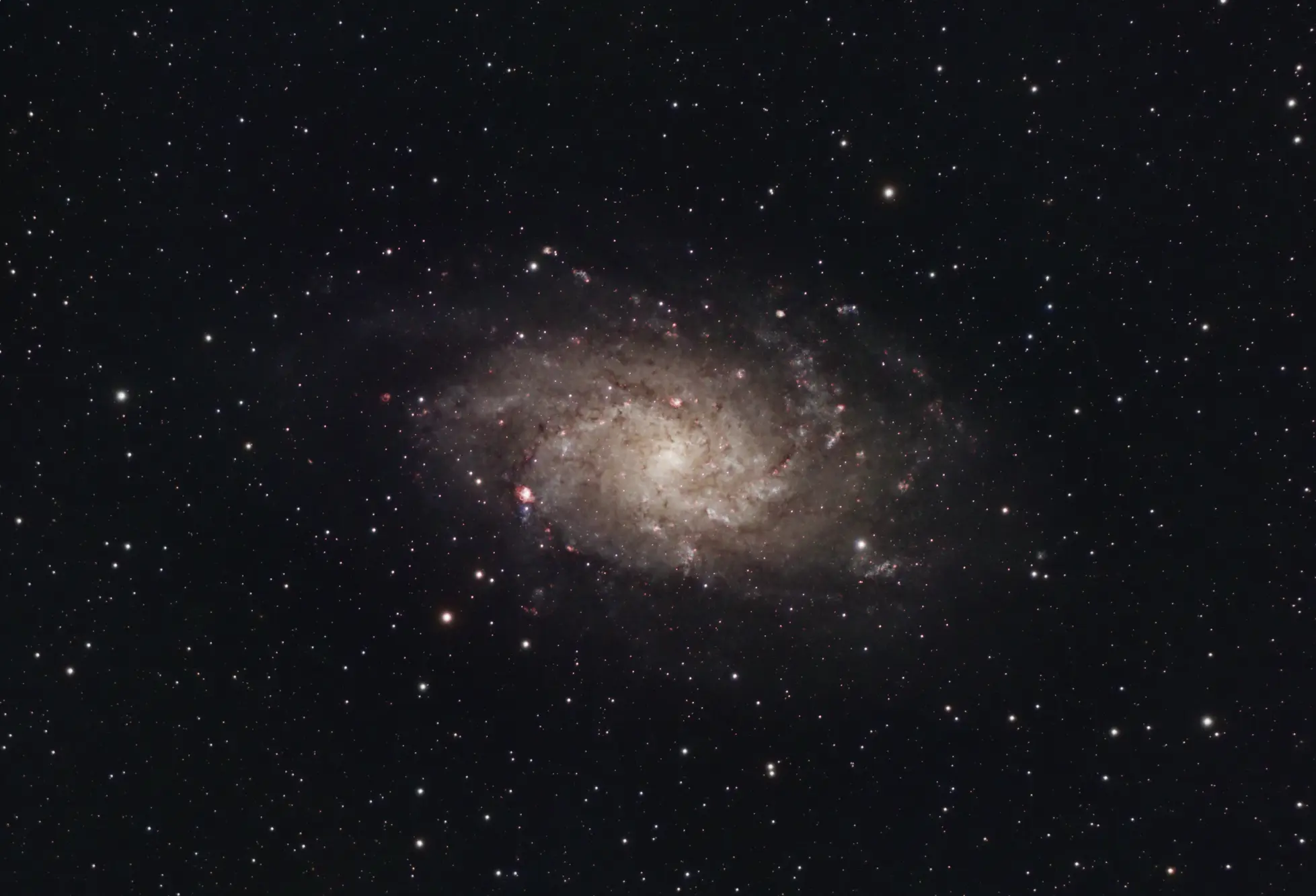 Triangulum Galaxy