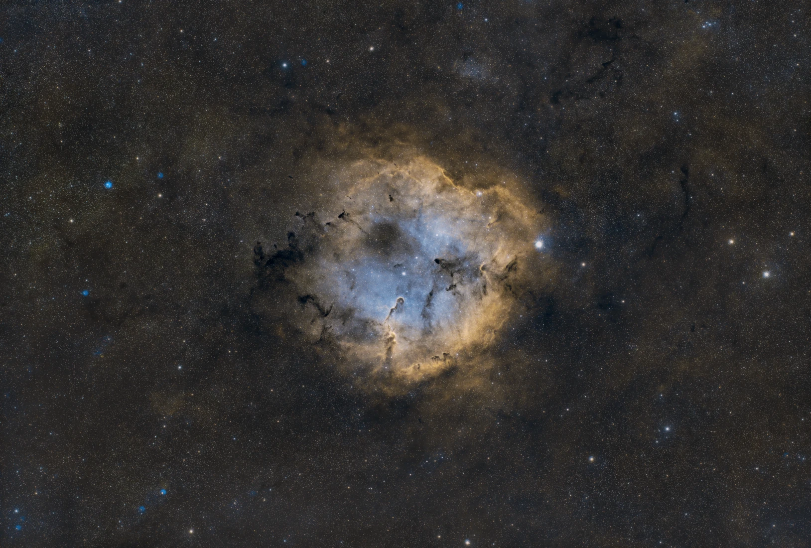 The Elephant's Trunk Nebula (IC 1396A)