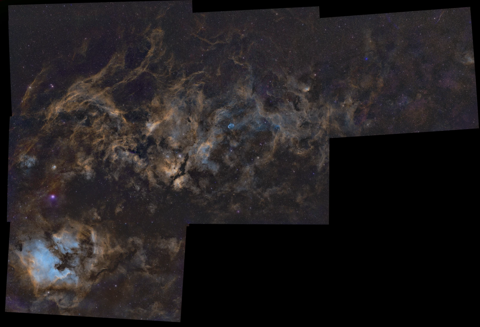 Sygnus Mosaic